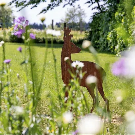 Hirschenhof Апартаменты