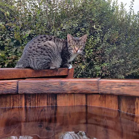 Hirschenhof * Léglise