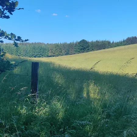 Hirschenhof Апартаменты *