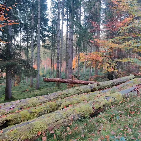 Апартаменты Hirschenhof Leglise