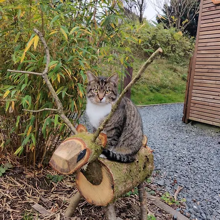 Hirschenhof * Léglise