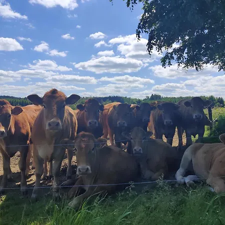 Hirschenhof 아파트