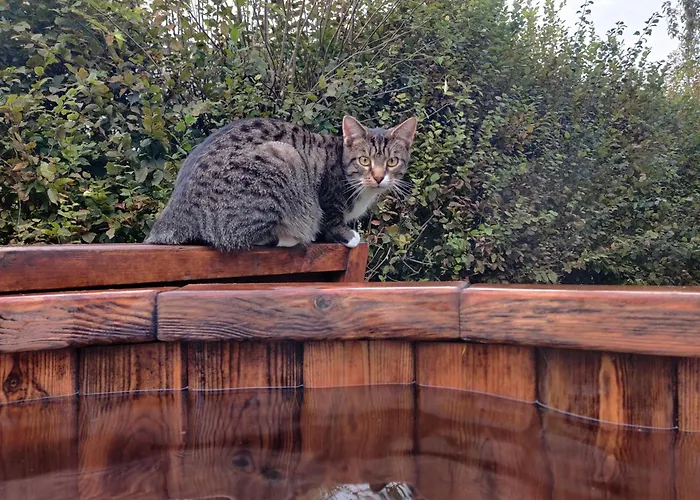 Hirschenhof * Leglise