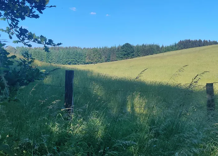 Hirschenhof Apartment *