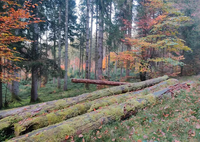 Apartment Hirschenhof Leglise
