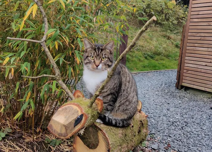 Hirschenhof * Leglise