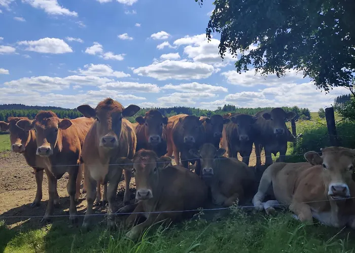 Hirschenhof Apartment